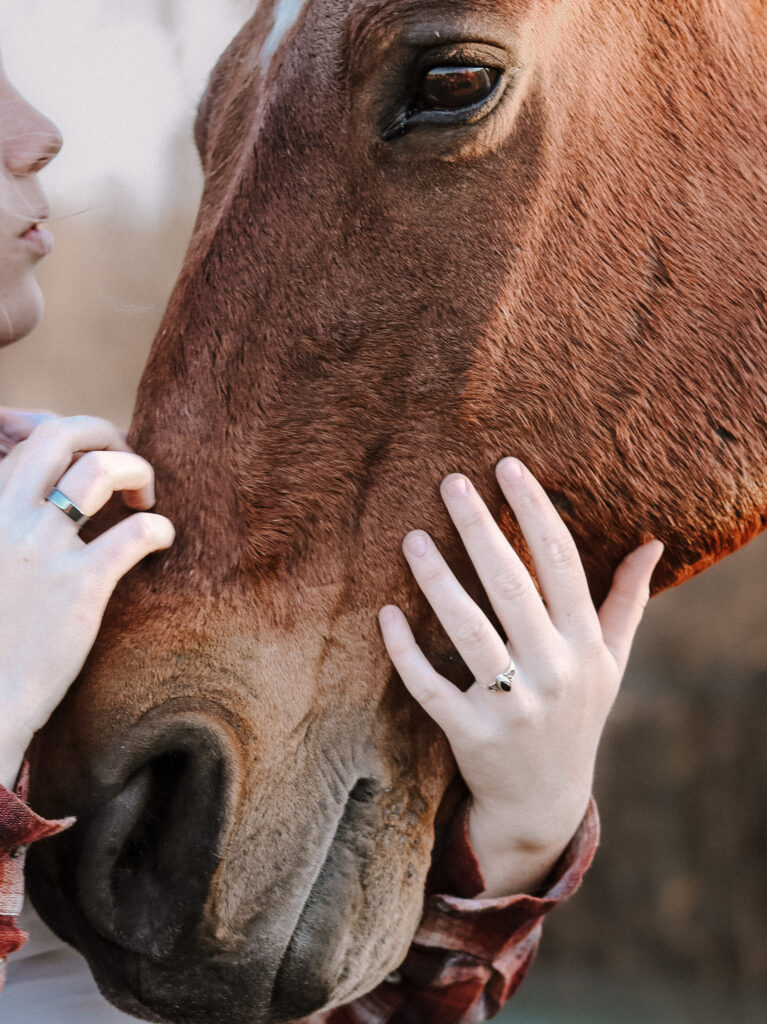Laura Elsie Grace Photography