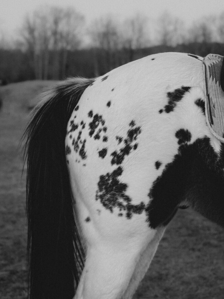 Laura Elsie Grace Photography