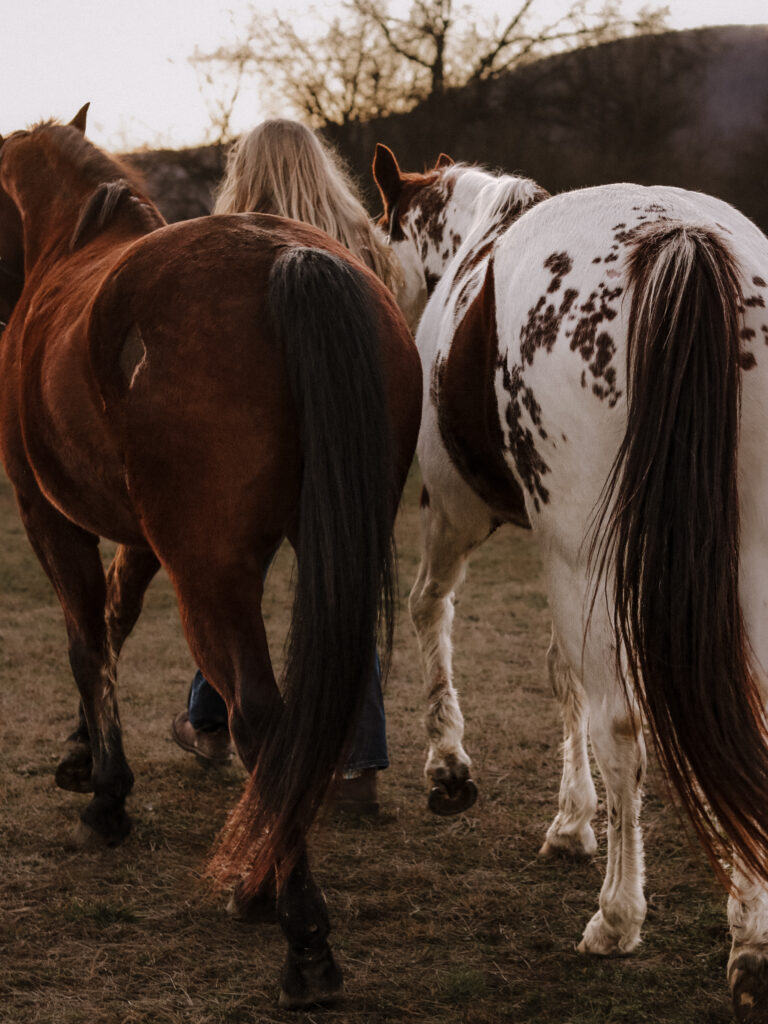 Laura Elsie Grace Photography